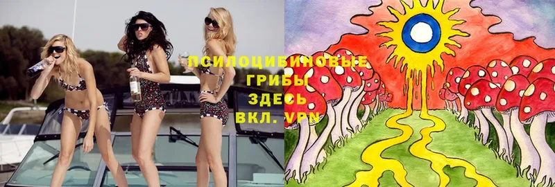 Псилоцибиновые грибы Psilocybe  МЕГА tor  Богучар 