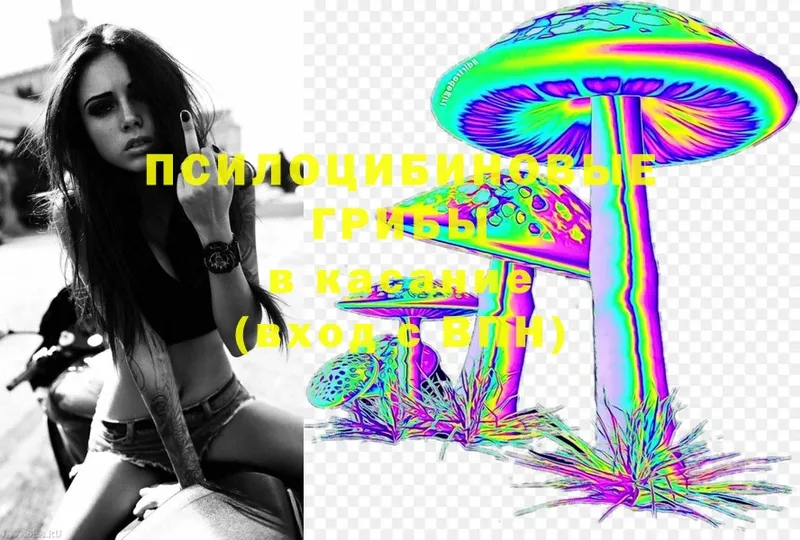 Галлюциногенные грибы MAGIC MUSHROOMS Богучар